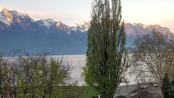 Design Apartment, 1 Bedroom, Lake View | Balcony