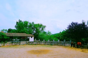 Nicht klassifiziertes Bild, 4 von 14, Schaltfläche