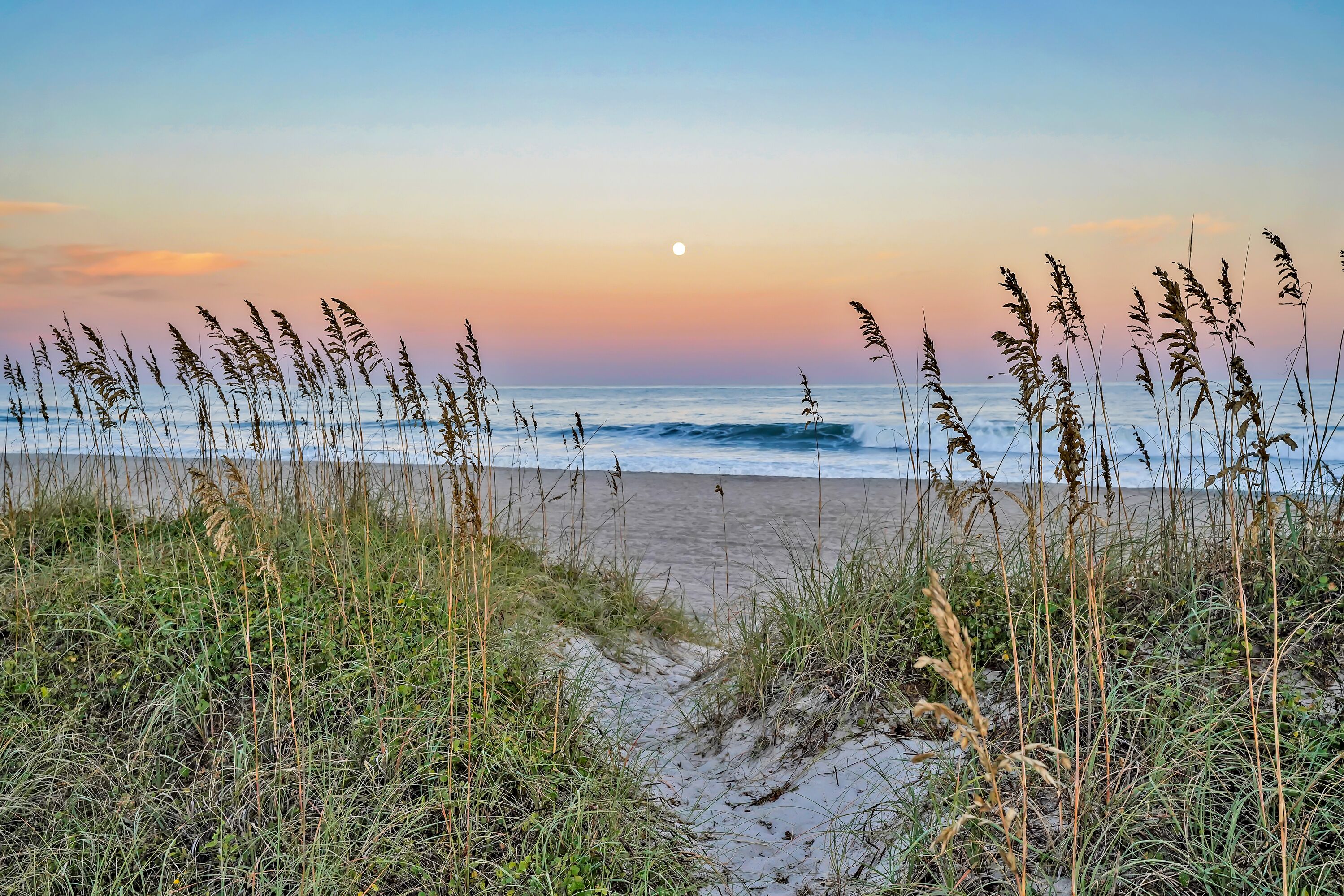 Plage, chaises longues