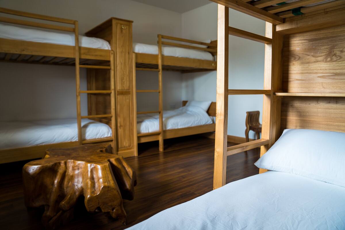 Sábanas de algodón egipcio, ropa de cama de alta calidad y ropa de cama