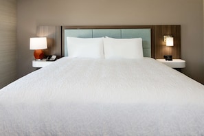 Studio, 1 King Bed, Refrigerator & Microwave | Desk, laptop workspace, free WiFi, bed sheets