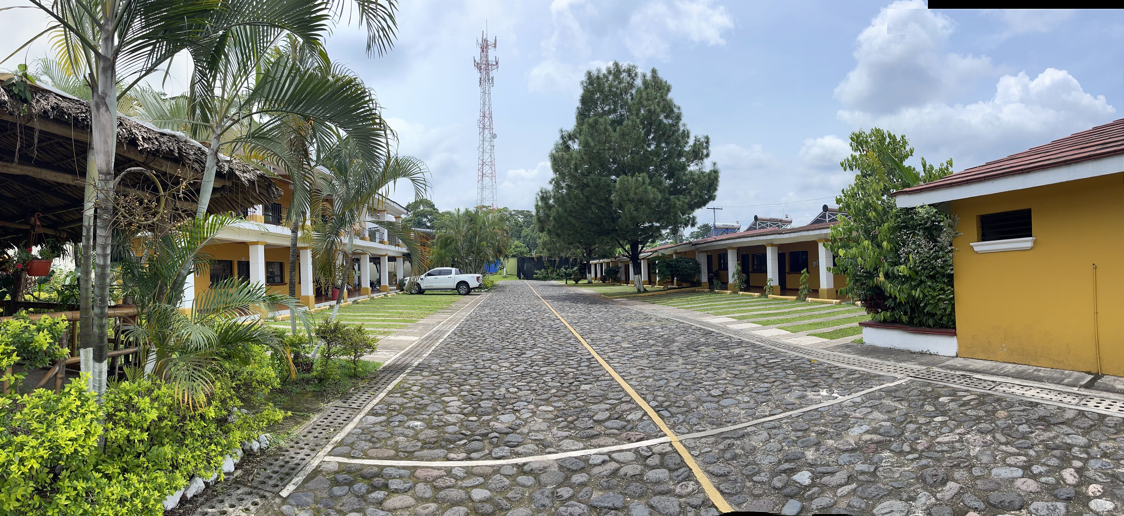 Taman