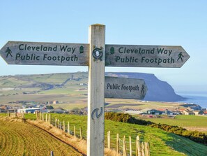 Image sans description, 5 de 20, bouton