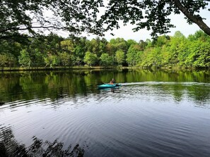 Property grounds - Lakefront Cabin - Farm Animals - Fish, Swim, Boat, Hike/Bike 5+Miles Trails (Louisa)