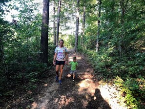 Property grounds - Lakefront Cabin - Farm Animals - Fish, Swim, Boat, Hike/Bike 5+Miles Trails (Louisa)
