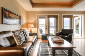 TV, fireplace, books