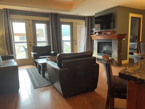 TV, fireplace, books