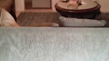 Kamar Comfort | Area keluarga | TV layar datar, Hulu, dan layanan streaming