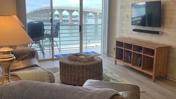 Smart TV, reproductor de DVD y libros