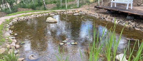 Terrain de l’hébergement
