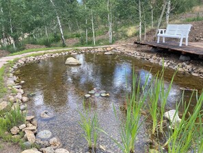 Jardines del alojamiento