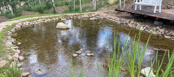 Cabin at Pickle Gulch- a charming cabin with mountain views.