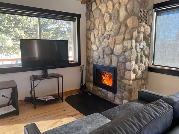 Smart TV, fireplace, books