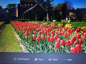 صورة غير مصنفة، 3 من 10، زرّ