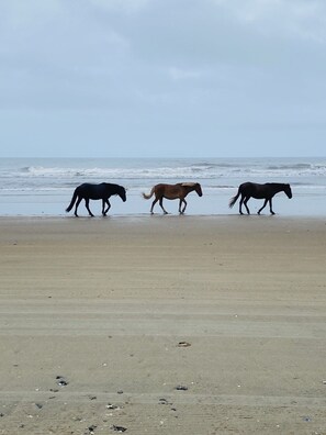 Spiaggia