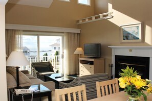 TV, fireplace, books, printers