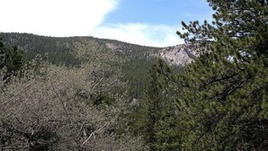 A mountainous landscape with dense forests and a clear sky. - Fawn Valley Inn: 256 (Estes Park)