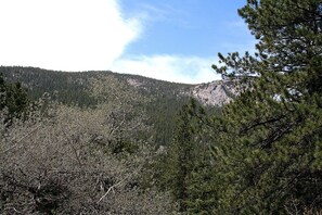 山景