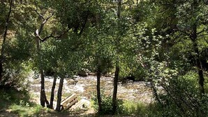 A forested area with a dirt path and a wooden bench. - Fawn Valley Inn: 256 (Estes Park)