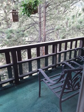 Condo, 1 King Bed, Balcony, River View | Balcony - Fawn Valley Inn: 288 (Estes Park)