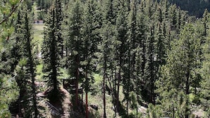 A forested mountain area with a clear view of a mountain range in the background. - Fawn Valley Inn: 303 (Estes Park)