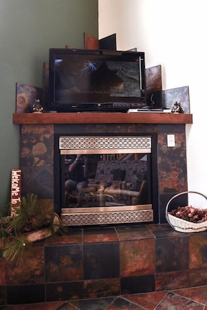 Téléviseur de 42 po avec télévision par câble, foyer, lecteur de DVD