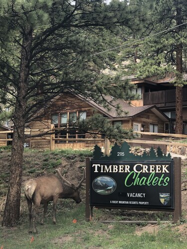Timber Creek Chalets: 6