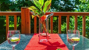 Una mesa de vidrio con un camino de mesa rojo, dos copas de vino y una planta en un florero.