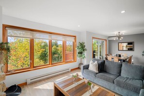 Smart TV, fireplace