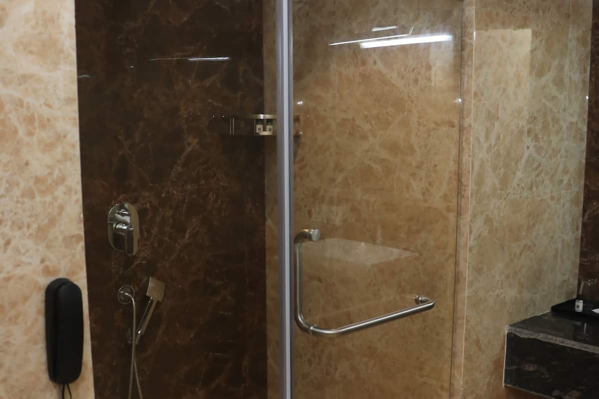 Un baño con ducha de vidrio, ducha de mano, barra para toallas y un inodoro.