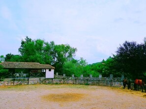 Unclassified image, 3 of 14, button