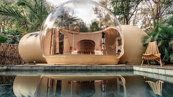 Outdoor pool, free pool cabanas, pool umbrellas