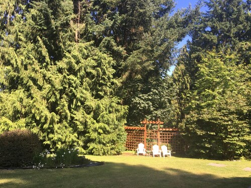 Private Country Estate -  Luxury retreat with Swim Spa.  Pet Friendly!