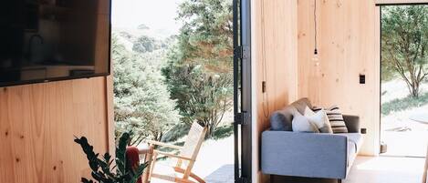 TV, fireplace, books, video library