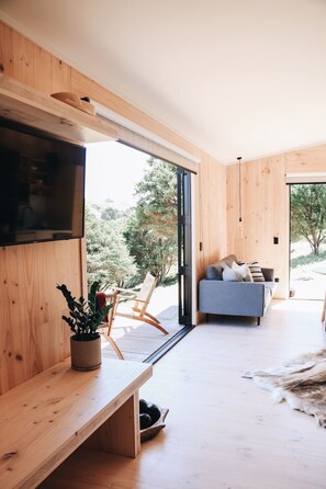 TV, fireplace, books, video library