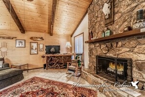 Televisie, een open haard en een dvd-speler