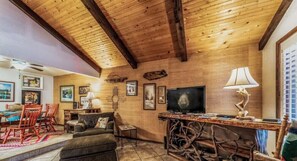 Televisión, chimenea y reproductor de DVD 