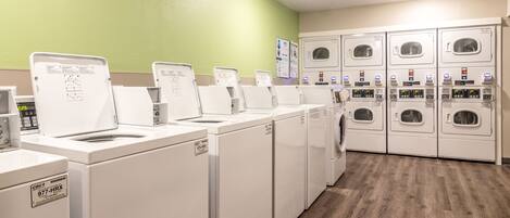 A laundry facility with multiple washing machines and dryers, a green wall, and a wooden floor.