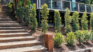Una casa de varios pisos con balcón, rodeada de abundante vegetación y una escalera que conduce a la entrada.