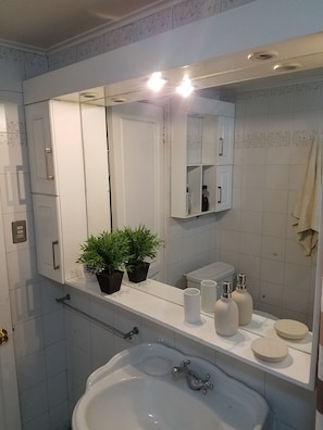 Rainfall showerhead, hair dryer, towels, soap