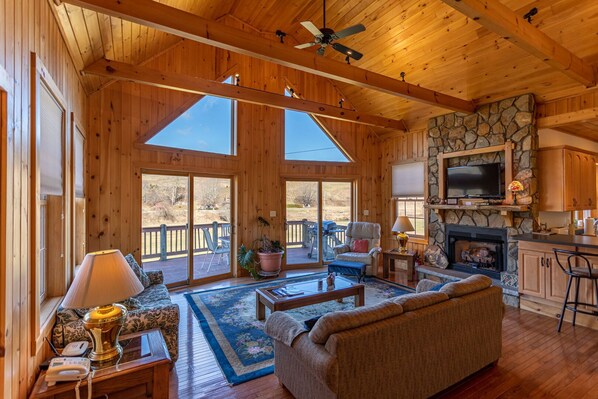 TV, fireplace, table football, books