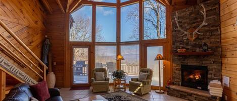 TV, fireplace, table football, books