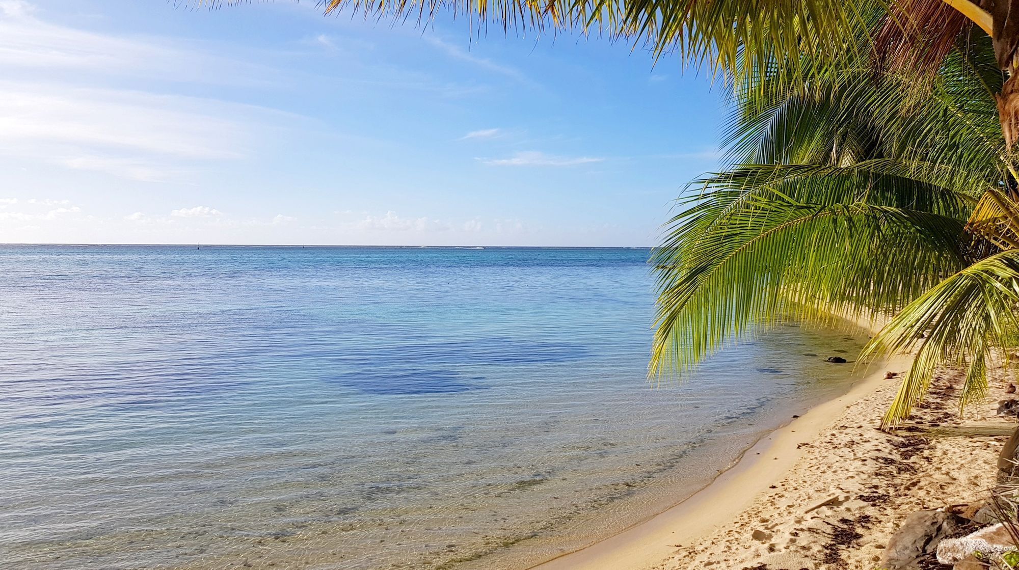 Una spiaggia nelle vicinanze, teli da spiaggia