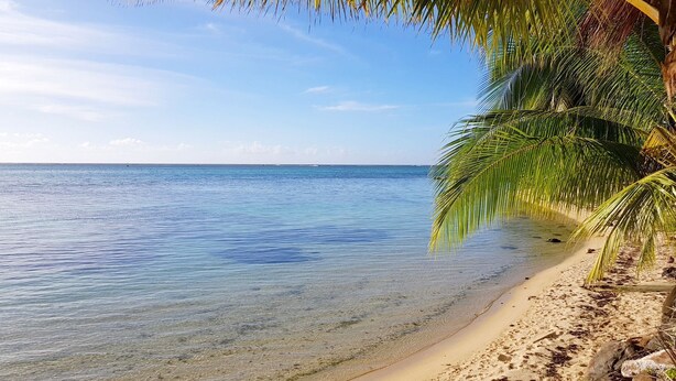 A beach with clear blue water, sandy shore, and palm trees. - Villa Iris by Tahiti Homes  (Moorea-Maiao)