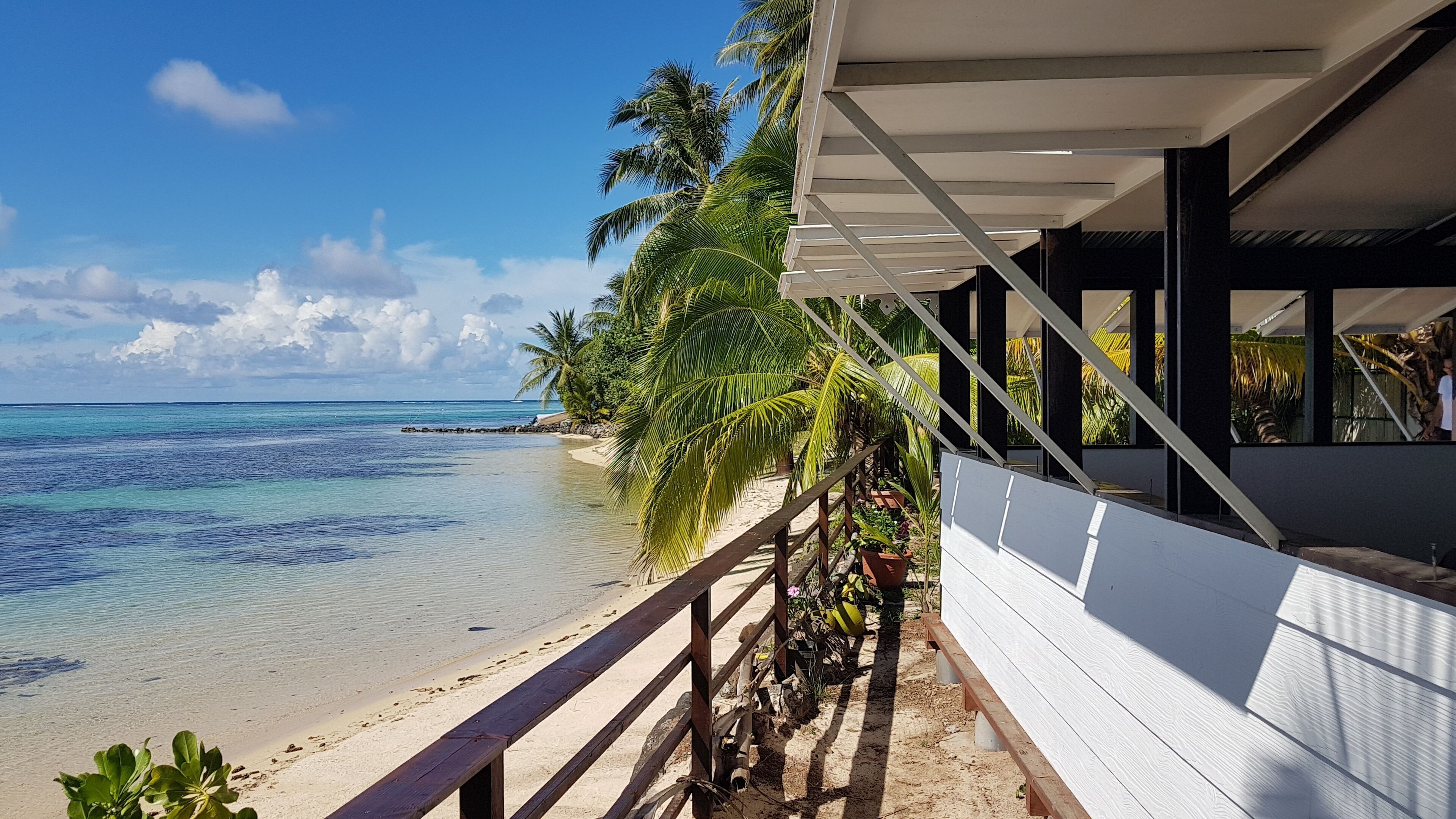 A beach view with a wooden deck, palm trees, and a clear blue sky.