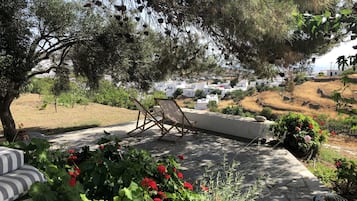 Terraza o patio