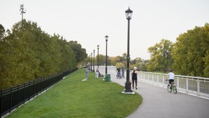 A paved walkway with a black metal railing, surrounded by green grass and trees.