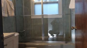 Combined shower/tub, hair dryer, towels, soap