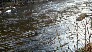 A river with a rocky bed, surrounded by dense forest. - Ausable River  Cottage (Frederic)