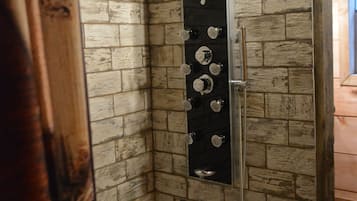 Combined shower/tub, hair dryer, towels, soap